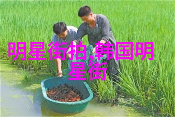 一夜缠绵我的紫色梦境