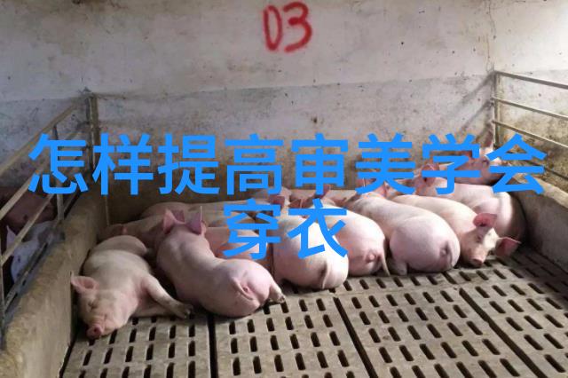 越南香水-越南秘境探索传统香水的诱人魅力