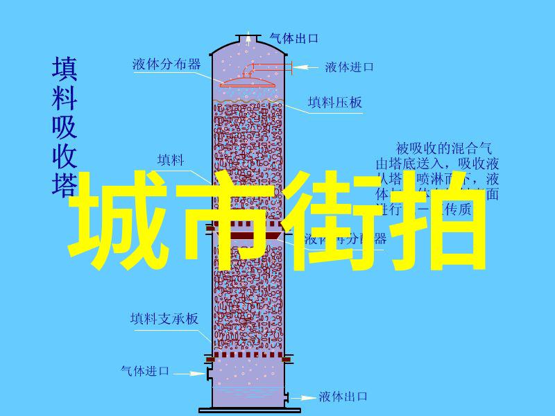 欧洲红毯下的街头风采探索明星街拍的艺术与魅