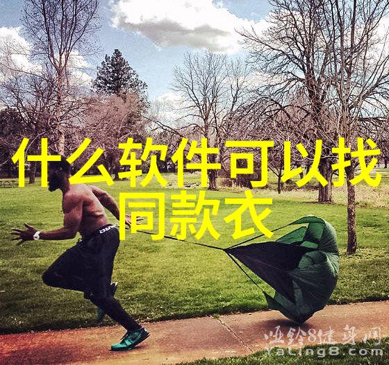 时尚界的红毯 - 明星款连衣裙红毯上的璀璨亮点