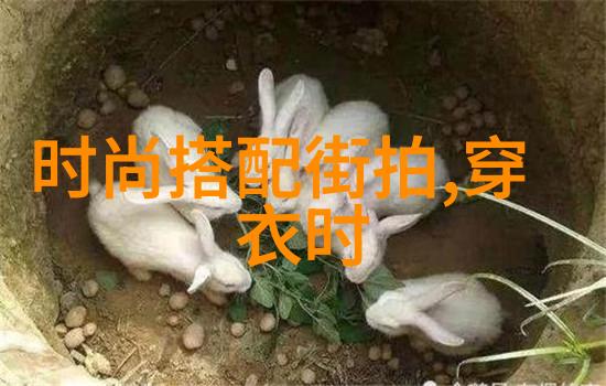 我的银行家先生专业财务顾问