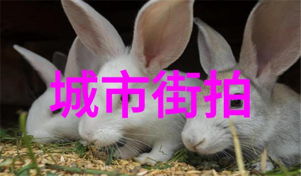 时尚博主街拍街头时尚博主的时尚风