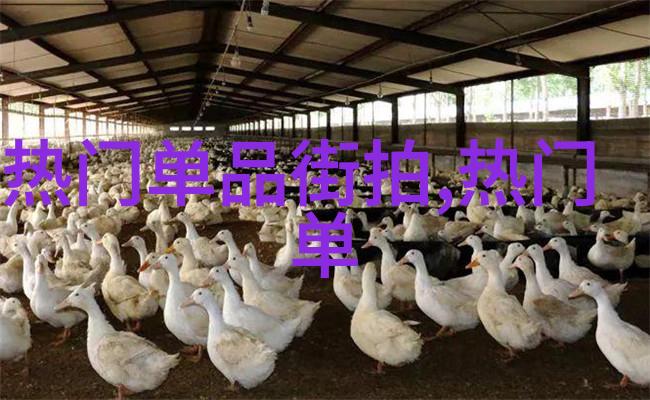 管家婆三期开一期精准解密揭秘中医预测与生活智慧的结合之谜