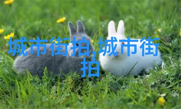 才几天没做水这么多人要深度探究社交媒体现象的背后原因与影响
