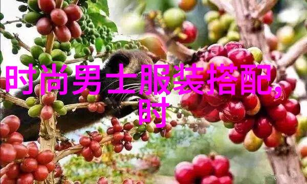 救驾之恳每次迟到的背后