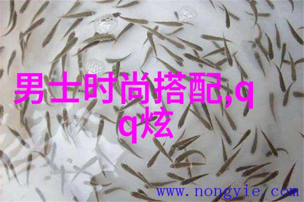 明星日常穿搭女 - 星光下的时尚小品味揭秘明星日常穿搭的艺术与科技