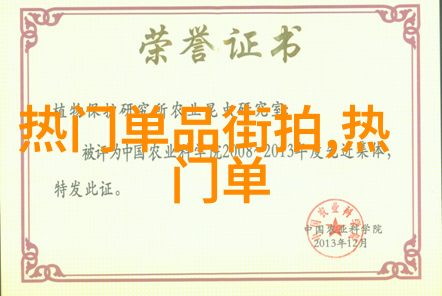 老妇的故事