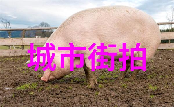 男士时尚搭配男士时尚穿搭技巧