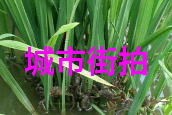 春季时尚女装搭配 - 鲜花盛开春日女孩的时尚穿搭指南
