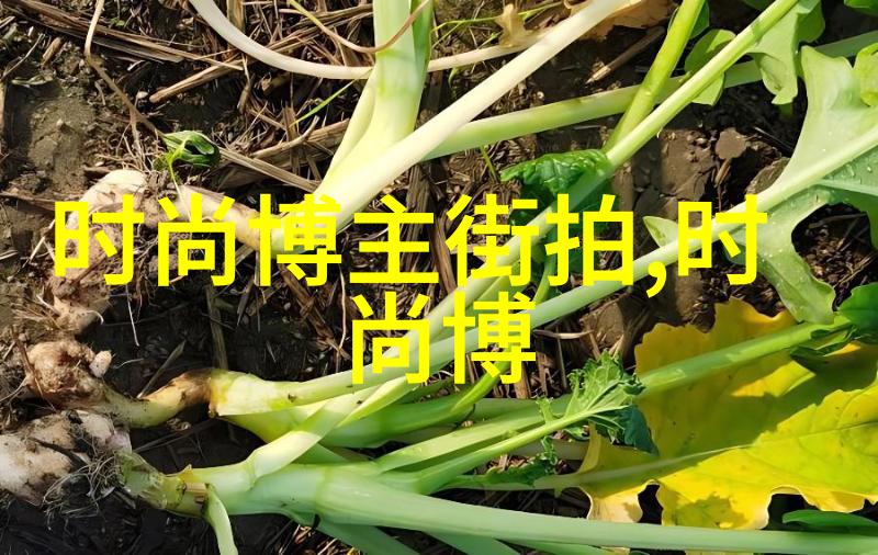 西方时尚博主的街头风采探索欧美穿搭的灵感与