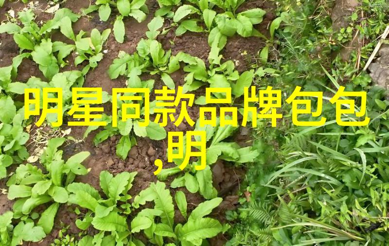 中国地质大学珠宝设计专业我在这里的学术冒险从石头变成璀璨宝石的故事