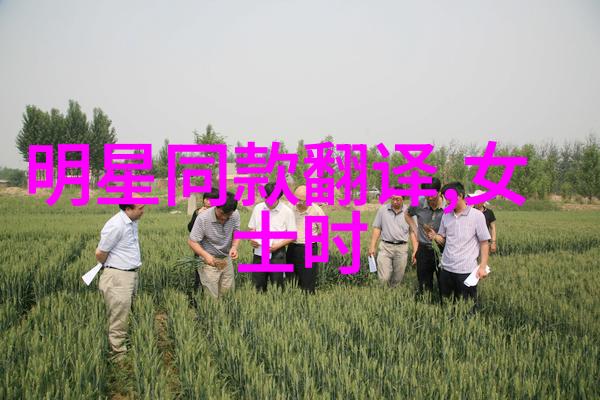淑荣二次上船开到湖中间去我又一次踏上了那条熟悉的船只心中的期待和忐忑交织在一起