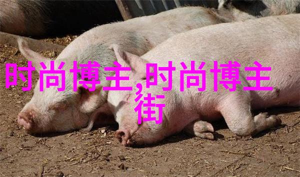 什么是夏季必备的时尚单品