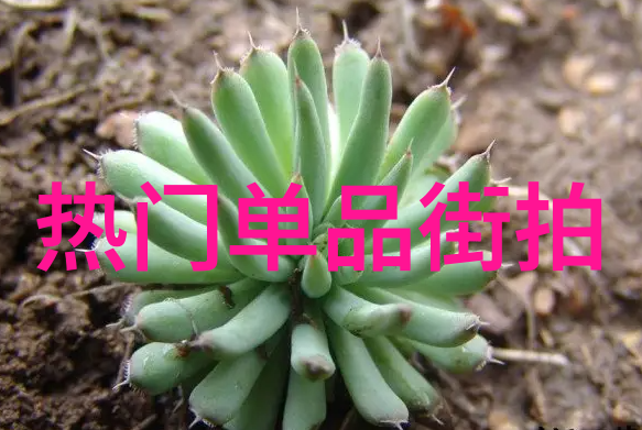 时尚服饰搭配艺术时尚潮流的完美融合