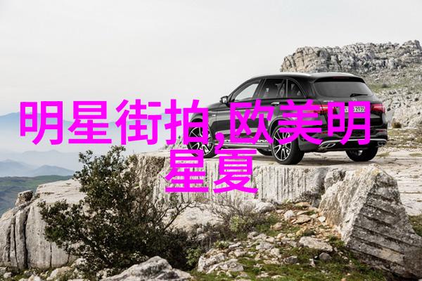 欧洲时尚之都追踪明星街拍背后的花粉网秘密