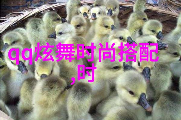 明星街拍网时尚明星的街头风采