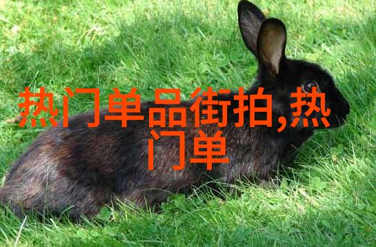 姜可全文阅读我是如何一夜之间读完三体系列的