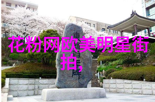 韩国明星街拍我在这里给你看那些超级美的明星