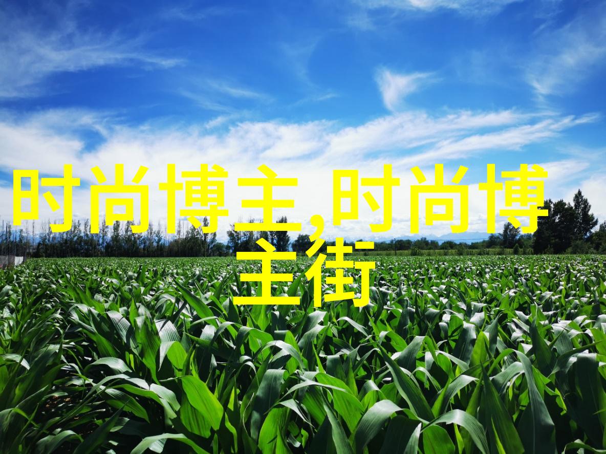 星光闪耀欧美明星的秋冬时尚街拍风情