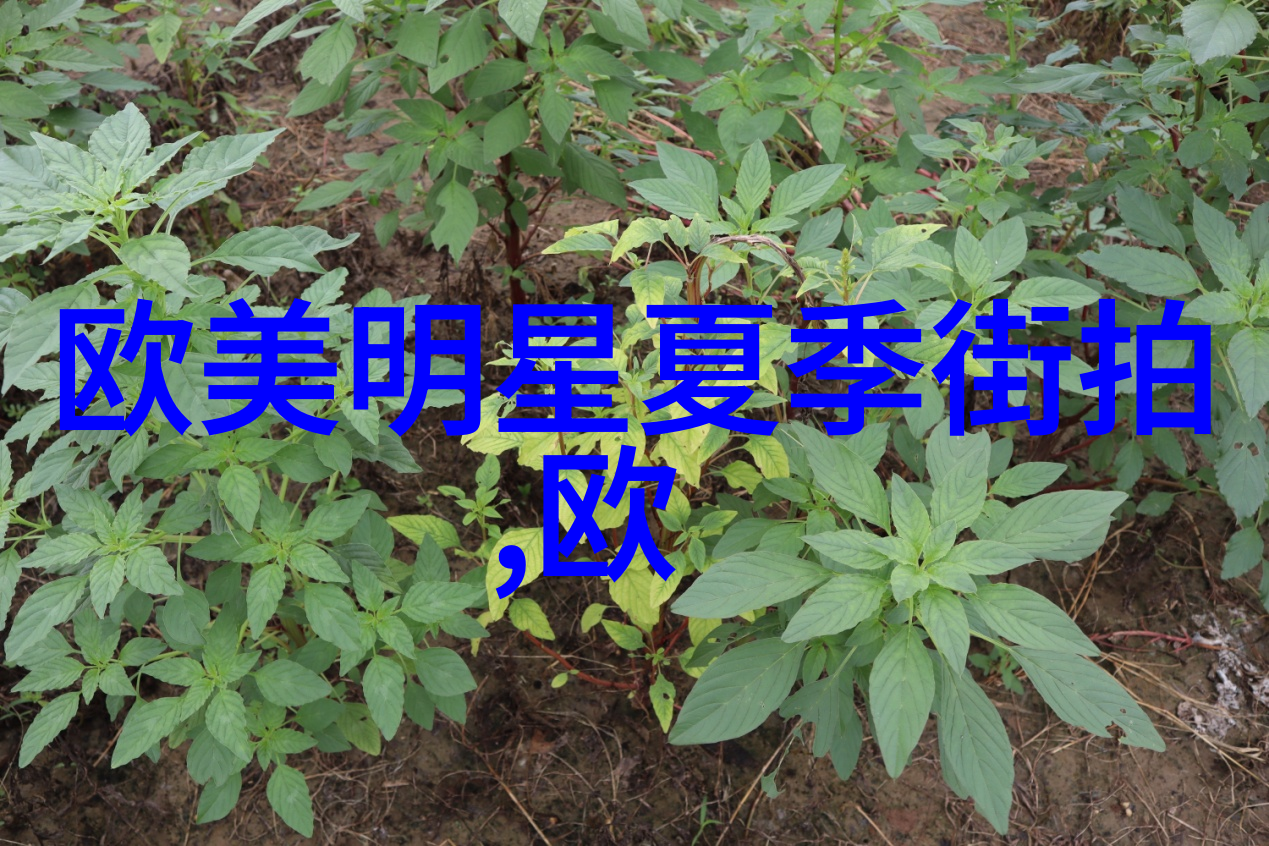 心意大利1996开放的心意大利文化交流活动