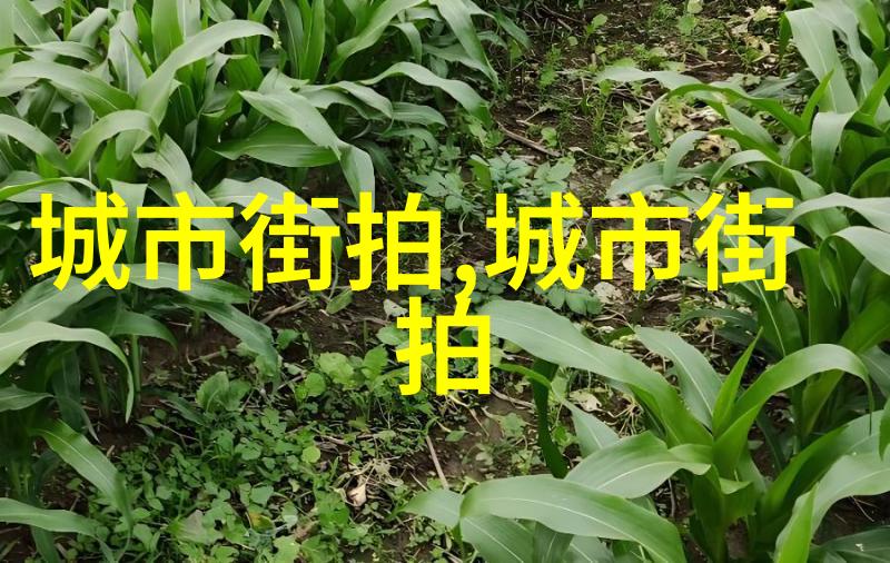 淑荣二次上船开到湖中间去-重游碧波淑荣的湖中寻梦