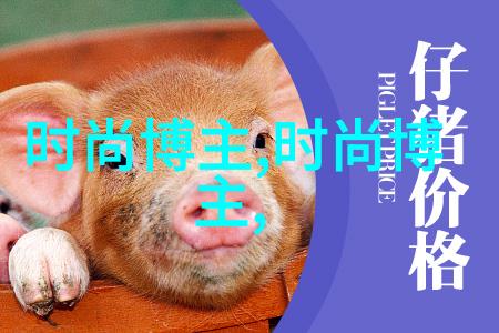 明星本人化妆视频 - 星光闪耀的彩妆秘籍