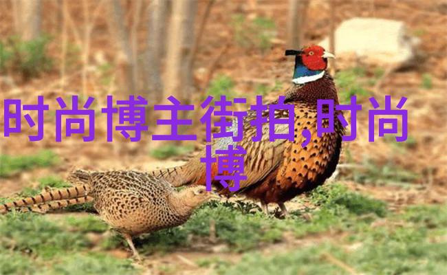 娱乐圈新星闪耀夜空引领时尚潮流