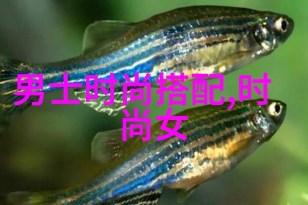 明星同款运动我也想跟着这些风云人物跑步变美