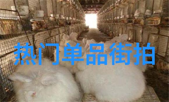 关晓彤时尚穿搭秘诀大揭秘打造自己的独特风格