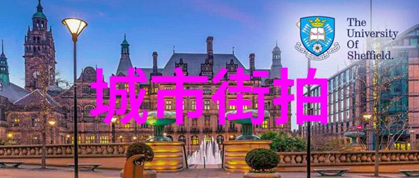 明星卫衣图片中的剪裁细节有什么特点