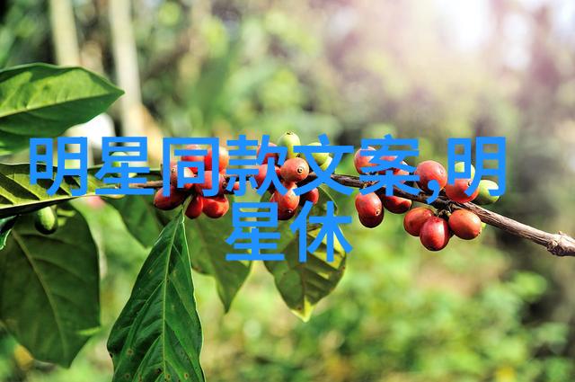 生活交换一对夫妇的客厅互换视频日记