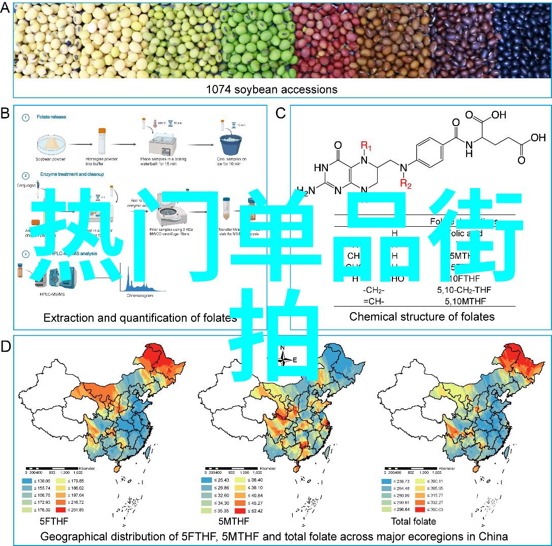 明星背后的真相被包装的偶像和真实的自我