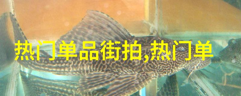 最近免费韩国电影HD无吗探索文化盛宴的新方式