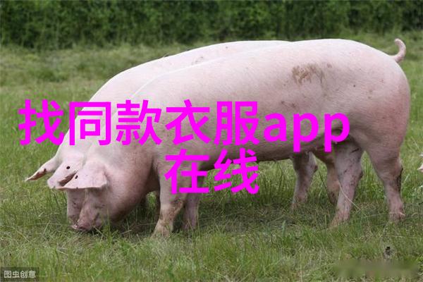 2020最洋气的短发图片女我眼中的小资的魅力