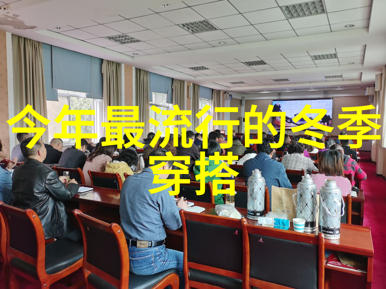 主题我是含羞草实验研究所的新成员你要不要尝试一下这个入口