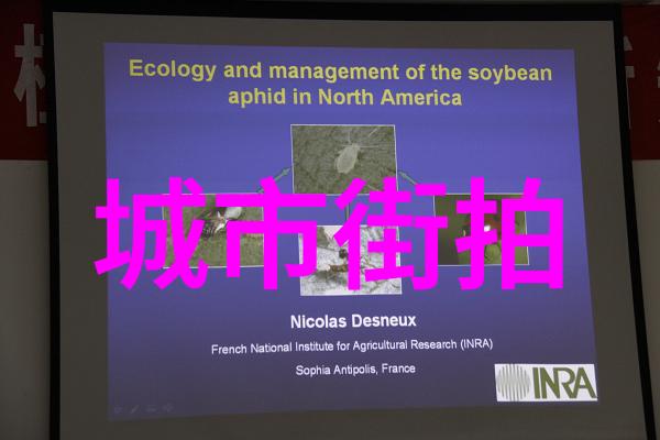 欧美明星街拍海报网捕捉红毯之外的时尚瞬间