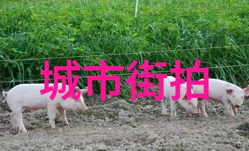 郭碧婷婚后不忘扮清纯卫衣搭仔裤秒变大学生长