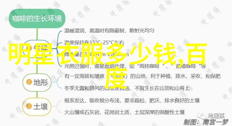 时尚博主对年轻一代文化影响有多大