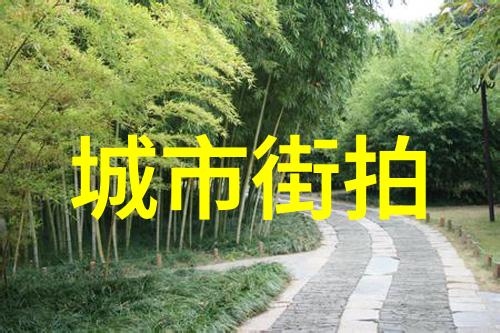 王子文现身北京机场 将酷黑风格进行到底