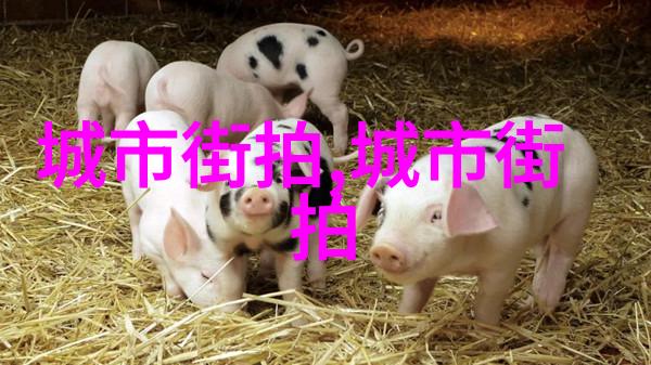 黑料正能量zzzttt传送门我是怎么从网上的负面八卦中找到正能量的