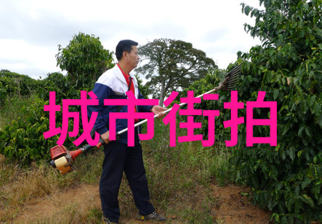 时尚搭配街拍探索街头时尚的艺术与风格