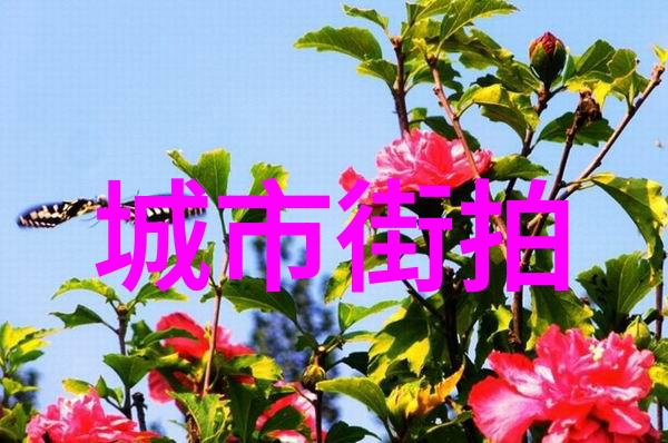关晓彤同款穿搭今天我来教你怎么轻松秒变小可