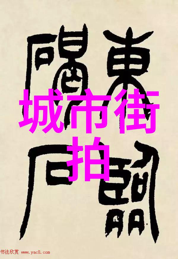 基于社交媒体平台的热潮分析城市街