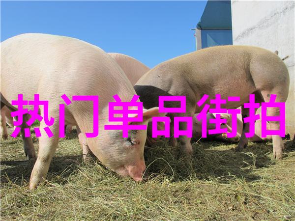 时尚指南-寒风中绽放冬装时尚搭配大师class
