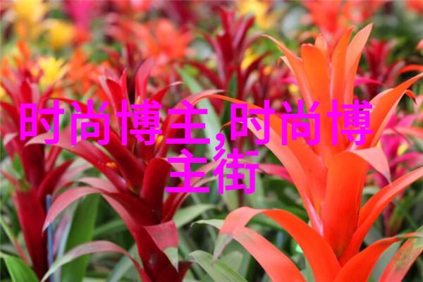 欲罢不能追忆那些无法割舍的时光