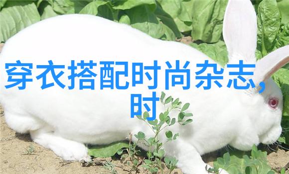 在Vogue网站上人物身着波司登泡芙系列羽绒服实力打卡高颜值