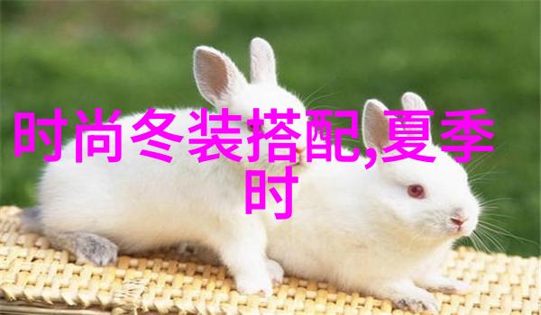 红毯上的独特风采明星款连衣裙的魅力