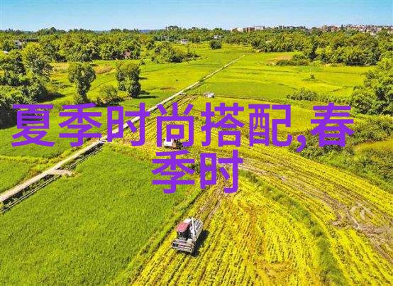 大秦帝国风云录铁血策略与龙腾四海的传奇故事