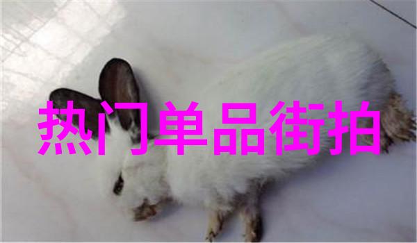 冬天里的轻盈与华丽女生如何做出完美的晚宴服饰搭配