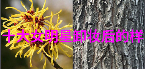别克新君威领先智能驾驶未来